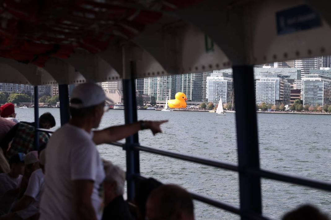 Kente gelen turistler, onu görünce gözlerine inanamadı! Parmakla gösterip endişeyle baktılar 1